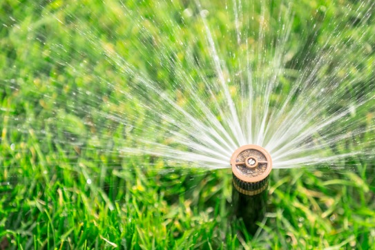 rasen-bewässerung-sprinkler